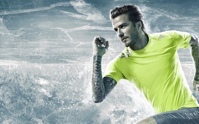 球探体育独家-凯特琳福特女篮扣将第一人