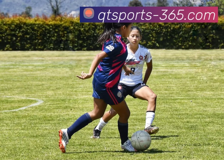 球探体育比分品牌故事